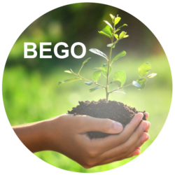 BEGO-BürgerEnergie im Kreis Calw eG